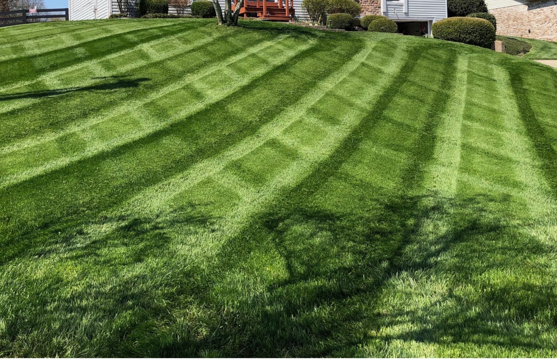 Professional residential lawn mowing — Sipes Lawn Care York PA